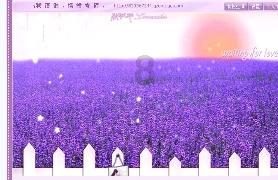 王子逃婚